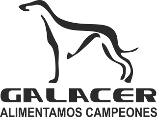 Galacer logo — Espejostudio client